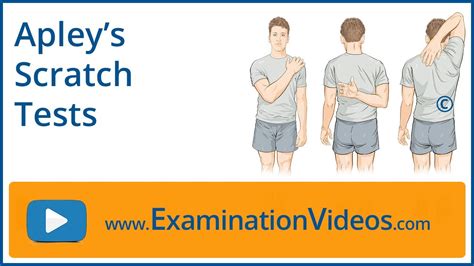 scratch test on the back|back scratch test norms.